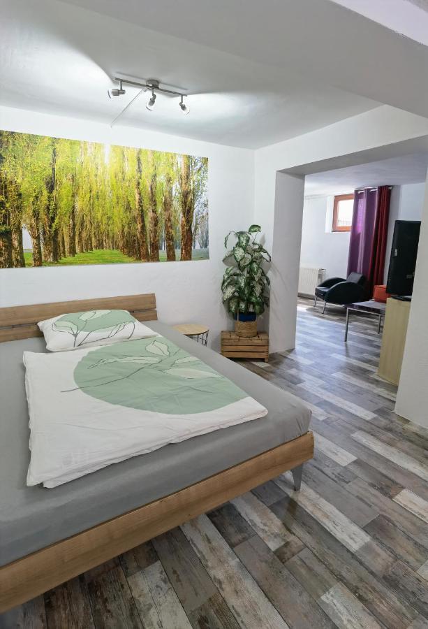 Ferienwohnung - Appartement "Painted Horse" Im Herzen Des Pfaelzer Waldes Reichenbach-Steegen エクステリア 写真
