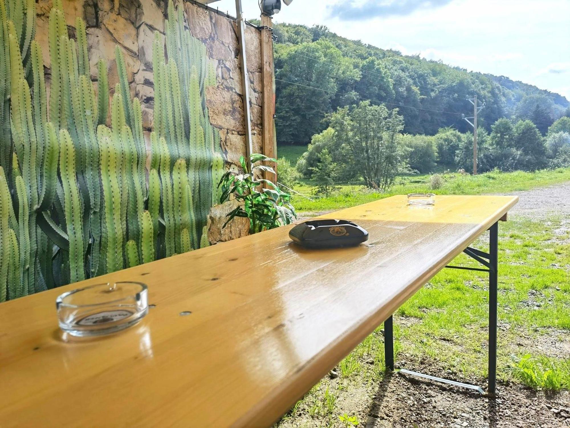 Ferienwohnung - Appartement "Painted Horse" Im Herzen Des Pfaelzer Waldes Reichenbach-Steegen エクステリア 写真