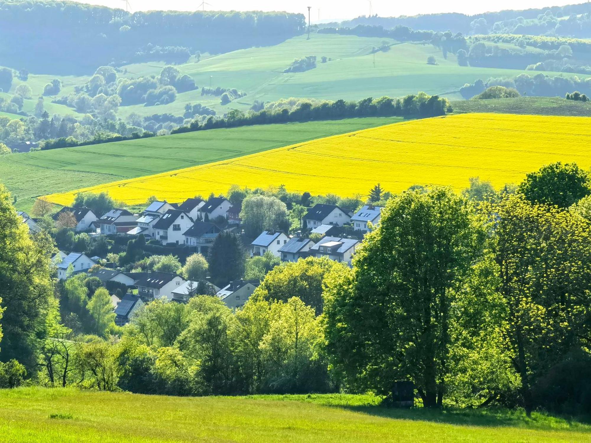 Ferienwohnung - Appartement "Painted Horse" Im Herzen Des Pfaelzer Waldes Reichenbach-Steegen エクステリア 写真